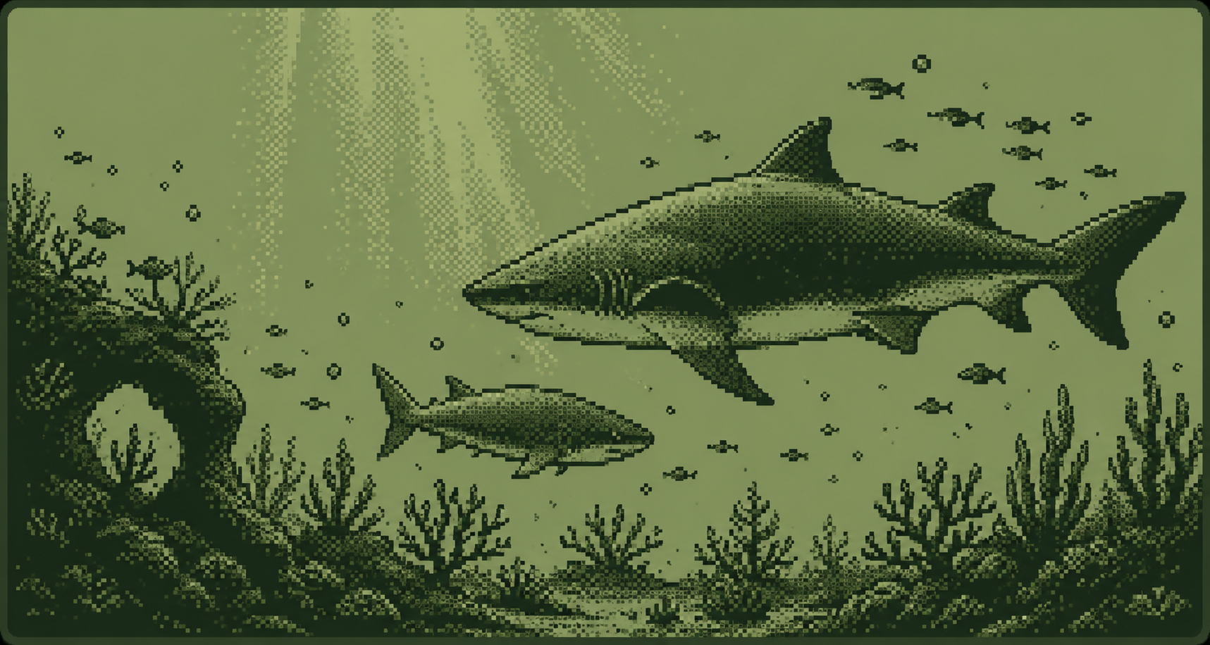 Shark Header